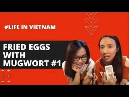Zalopay hợp tác với Hotspot Matrix trong thanh toán Metro