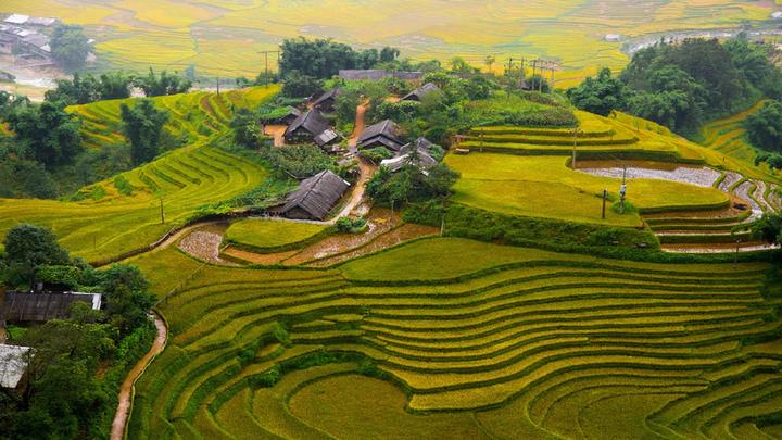 Hotspot Matrix: Biến Á hậu Bùi Khánh Linh đã sống thành cơ hội marketing đột phá