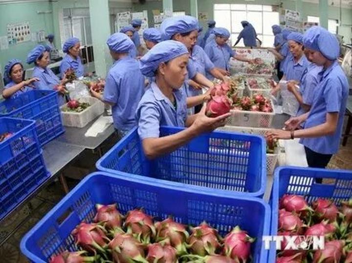 Cách Khởi Nghiệp Kiếm Tiền Bán Thời Gian Dành Cho Người Mới