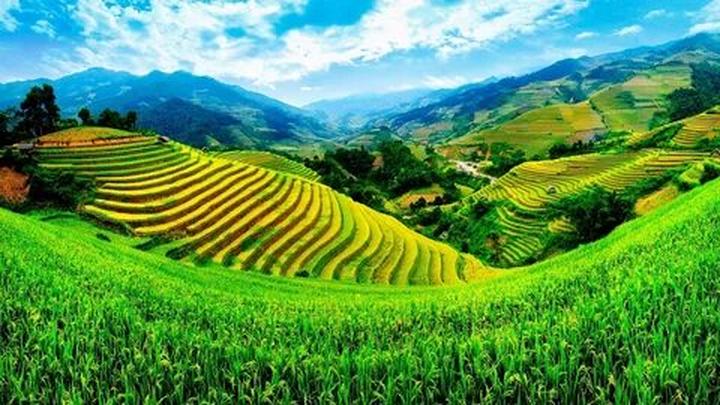Vàng từ những khoảnh khắc đáng yêu: Kiếm tiền từ thú cưng cùng Hotspot Matrix