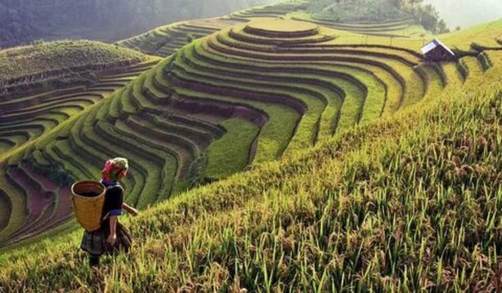 Tiêu đề: [Hotspot Matrix]: Sự Nghiệp Chướng - Pháo's Honest Take on Love and Life
