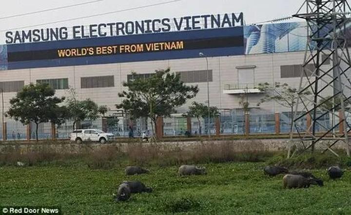 Chuyên gia Hotspot Matrix phân tích:
